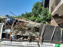 Best Residential Junk Removal  in New Port Richey East, FL