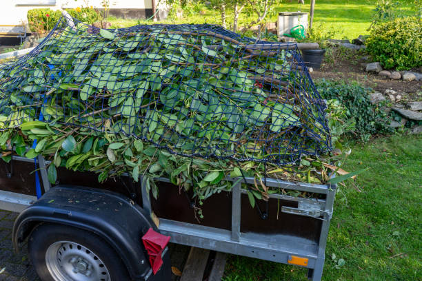  New Port Richey East, FL Junk Removal Services Pros